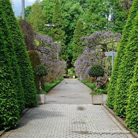 Jardin Botanique de Leuven